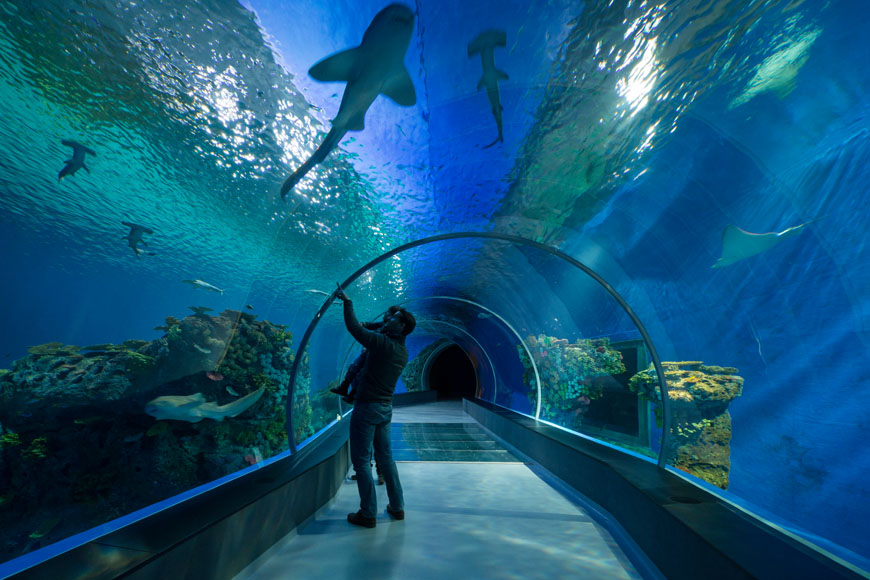 blue-planet-national-aquarium-denmark-copenaghen-interior-06