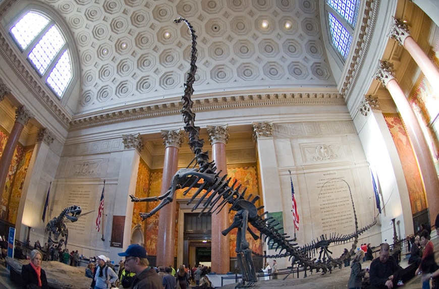 Nyc Natural History Museum 95