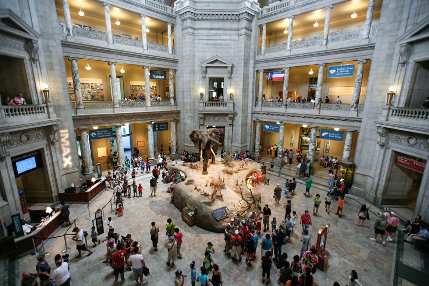Smithsonian National Museum of Natural History Washington DC Rotunda