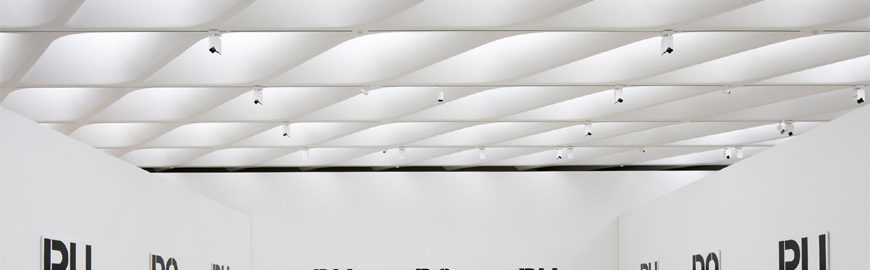 The broad museum Los Angeles opening 04