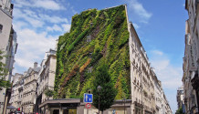 Oasis Aboukir living facade Paris Patrick Blanc 01