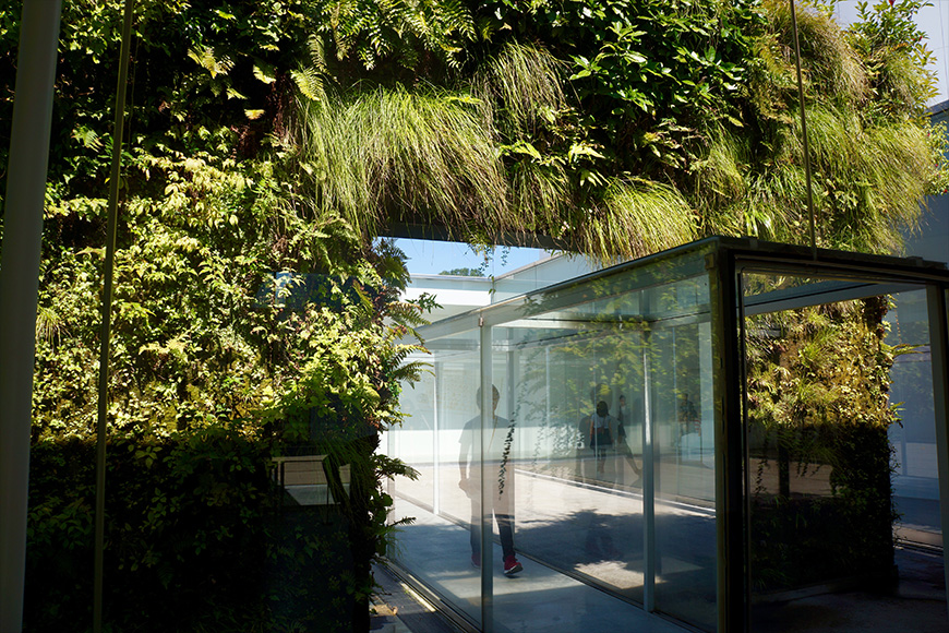 Patrick Blanc, Green Wall installation, Kanazawa Museum, 2