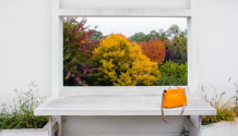 Villa Savoye Poissy Le Corbusier landscape Inexhibit