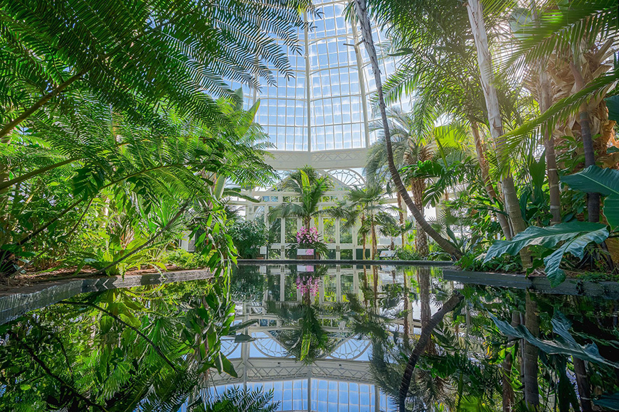 New York Botanical Garden Conservatory interior