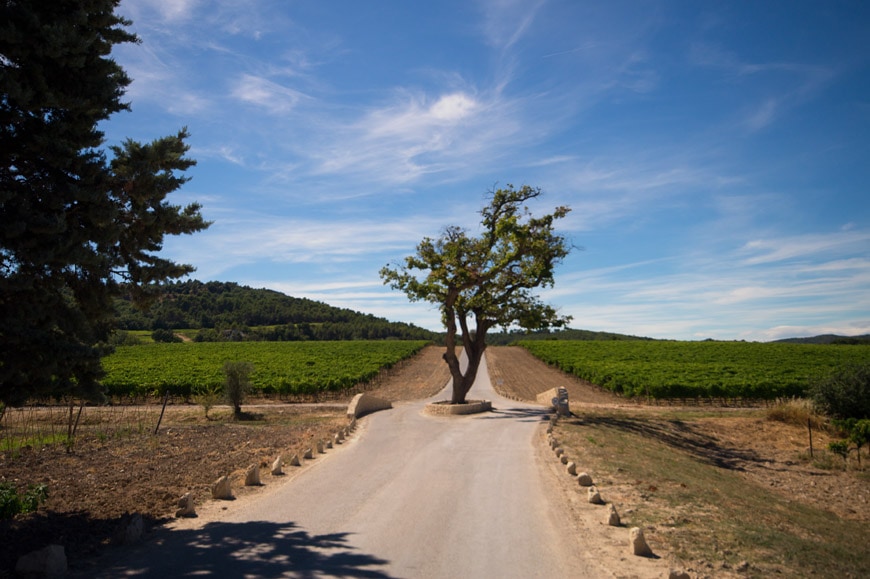 Vino arte e architettura Chateau La Coste Inexhibit 7
