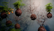 Inexhibit-home-gardens-suspended-Fedor-van-der-Valk-aerial-garden