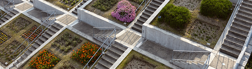 Tadao Ando, Hundred Step Garden, Awaji Yumebutai 06