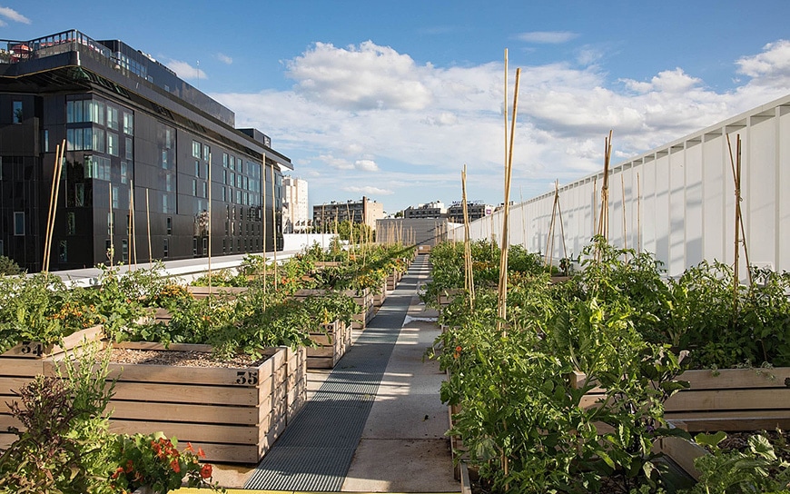 The Word S Largest Rooftop Urban Farm Sits On Top Of A Paris Building Inexhibit