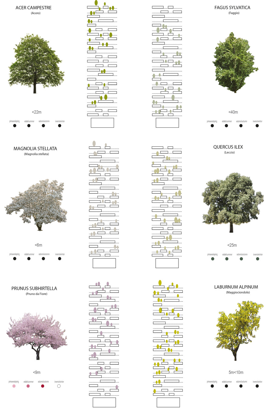 29-Vitra-Design-Museum-Garden-Futures-Boso -verticale-trees-scheme-1
